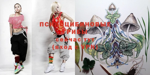 не бодяженный Алексин
