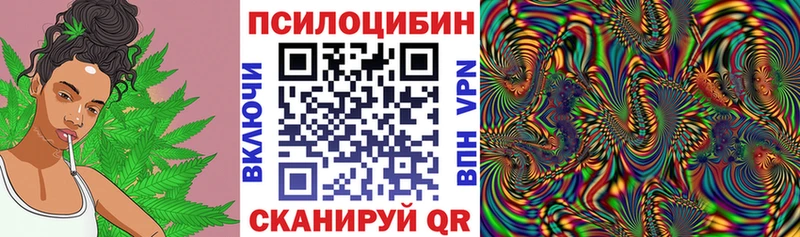 Галлюциногенные грибы прущие грибы  Кропоткин 