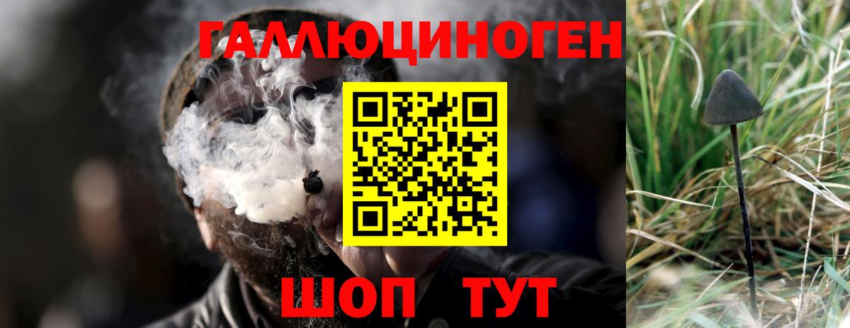 Псилоцибиновые грибы ЛСД  Галлюциногенные грибы мухоморы  как найти   Кропоткин  Вход с VPN 